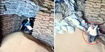 بمثل هذا الشكل من الموت لا يوجد! نجا شخص واحد فقط، وهو هرب دون أن ينظر إلى الوراء.