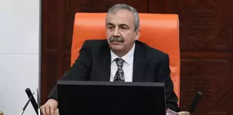 The new Deputy Speaker of the Parliament for the HDP party is Pervin Buldan.