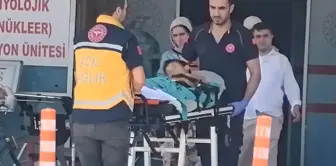 خلال ذبح الأضحية حدثت واقعة مروعة! طفل يبلغ من العمر 7 سنوات أصيب بجروح خطيرة.