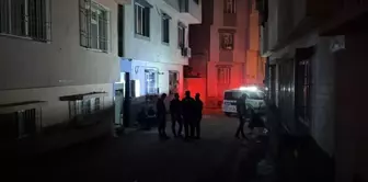 الترجمة إلى العربية هي: 