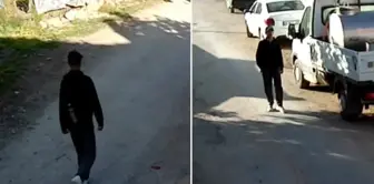 إليك صور بوراك البالغ من العمر 14 عامًا قبل أن يختفي.