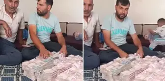 350 مزارعًا يبيعون الأضاحي احتجوا بوضع كميات كبيرة من النقود أمامهم.