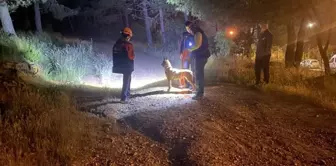 Pendik'te esrarengiz olay! Ormana girdi bir daha haber alınamadı. 

في بنديك حدث غامض! دخل الغابة ولم يُسمع عنه مرة أخرى.