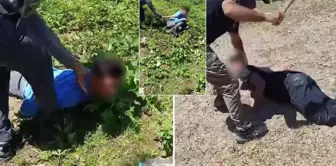The person who tortured young people with a stick was released with a one-sentence defense.