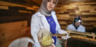 4 أصدقاء يبيعون حليب النحل الذي ينتجونه مع زوجاتهم بسعر 45000 ليرة للكيلو.