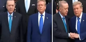 الرئيس أردوغان والرئيس الأمريكي ترامب اجتمعا جنبًا إلى جنب في قمة الناتو.
