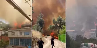 Forest fire in Bursa! Flames have spread to houses.