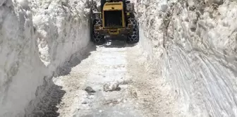 While Turkey is roasting from the heat, the snow depth in Rize has reached 5 meters.