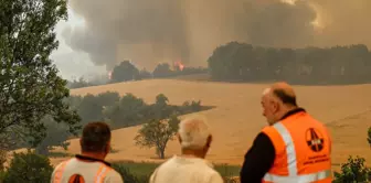 The fight against the flames continues! Here is the latest situation regarding the forest fires.