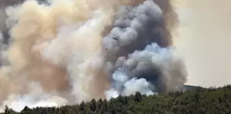 Minister Yumaklı: 6 forest fires are ongoing, 3 people are in custody.