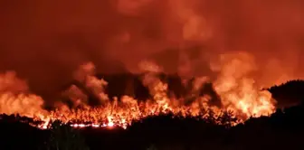 The forest fire in Sakarya has spread to Bilecik! Villages have been evacuated, and soldiers have been deployed to the area.