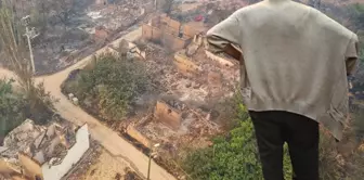 In the fire that jumped from Sakarya to Bilecik, the village was reduced to ashes; the images are horrifying.