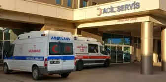 The child who shot himself with a gun he found in the field has died.