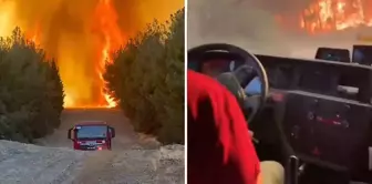 The forest team trapped among the flames was rescued at the last moment.