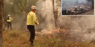 Turkey's lungs are burning: The village of Köprücek has been completely reduced to ashes.