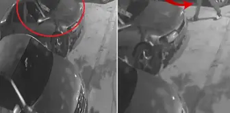 Here are the last moments of the 4 young people who lost their lives inside the car.