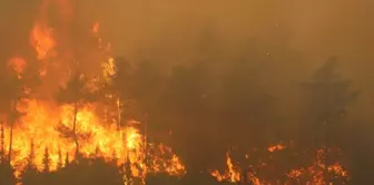 Minister Yumaklı shared the latest situation! Fires in our 3 cities are partially under control.