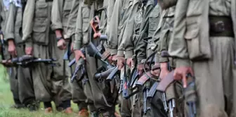The claim that the date for the PKK terrorist organization's disarmament has been clarified.