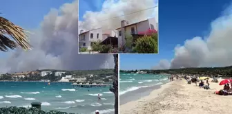 The fire in İzmir has spread to Çeşme as well! Evacuation announcements are being made.