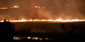 وزير يوماتلي: ستستمر مكافحة حرائق بوجا وأوديميش حتى صباح الغد.