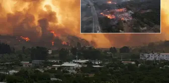 The fire in Çeşme is growing! The highway has been closed, and residential areas are being evacuated.