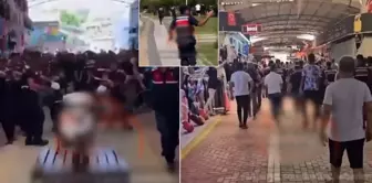 Attempted lynching by counterfeit tradesmen! They beat up the lawyer and broke a chair on the gendarmerie's head.