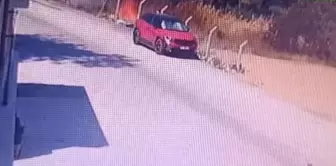 بدا ظهور صورة لحظة اندلاع حريق الغابة في بوجا.