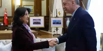 President Erdoğan: I will meet with the DEM Party delegation this week.