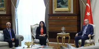 Cumhurbaşkanı Erdoğan ile görüşen DEM Parti'den ilk açıklama

الرئيس أردوغان يلتقي مع حزب DEM وأول بيان من الحزب