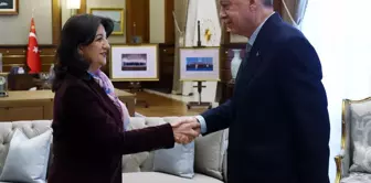 دم حزب بيرفين بولدان تتصل برئيس الجمهورية أردوغان لتقديم الشكر
