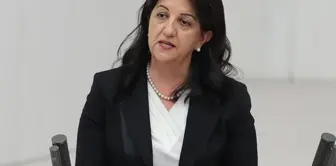Response to Pervin Buldan's statement 