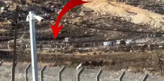 Despite Netanyahu's call, hundreds of Druze have started to cross the Syrian border.