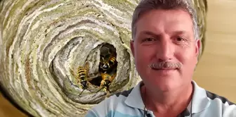 The bitter end of the citizen who disturbed the nest of wild bees in the hobby garden.