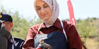 Is Kübra Güran Yiğitbaşı becoming the Minister of Family and Social Policies?