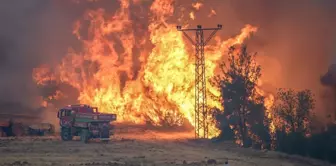 Forest fire in Sakarya and Bilecik: 4 evacuated.