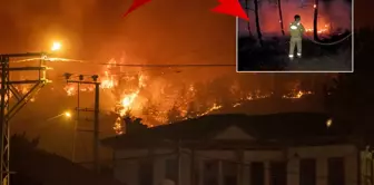 The Sakarya fire has been ongoing for 15 hours! Heartbreaking screams are coming from within the flames.