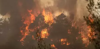 Our lungs are burning in Sakarya and Bilecik! The flames have reignited in some areas.