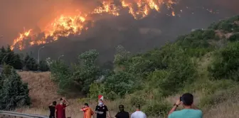 The flames are advancing rapidly in Bilecik! 7 villages have been evacuated.
