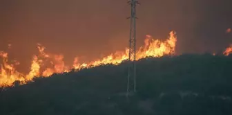 In Eskişehir, 10 forest workers and AKUT personnel lost their lives in a fire while trapped among the flames.