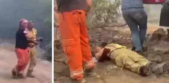 The cry of the forest officer injured in the disaster was heartbreaking: 