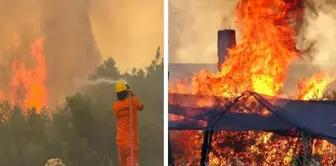 Antalya is experiencing a nightmare! Temperature records have been broken, and wildfires have erupted in 6 locations.