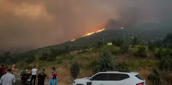 Bilecik and İzmir have been declared disaster areas.