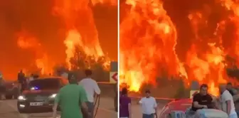 The flames are spreading rapidly in Bursa! Official vehicles narrowly escaped being burned.