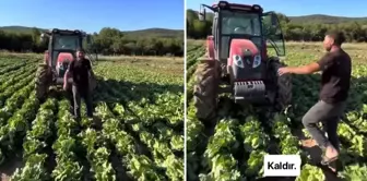 The price offered for the crop in his field has outraged the producer: They are selling it for 30 TL in the market.