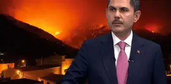 Minister Murat Kurum: A total of 104 structures have been severely damaged or destroyed in the forest fires.