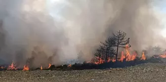 В Бурсе огонь снова разгорелся! 1765 человек эвакуированы, объявляется призыв о помощи.