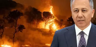 Minister Yerlikaya explained the causes of forest fires: He tried to burn his old bed.