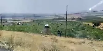 The watermelon field owner was shocked by the scene he encountered.