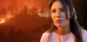 The moments witnessed by the pilot intervening in the fire were heart-wrenching.