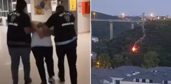 A person who caused a forest fire by firing a signal flare in Beykoz has been arrested! Here is their first statement.